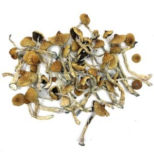 Arenal Volcano Magic Mushrooms Retreat