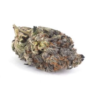 Blue Rhino (AAA) - Dark-Net-Market