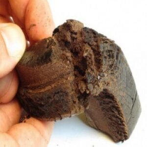 Buy Afghan Black Hash Online - Dark-Net-Market