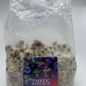Buy The Ultimate All-In-One Magic Mushroom Grow Kit Online